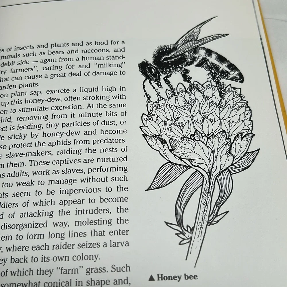 The Natural History of Canada by R.D. Lawrence Vintage Hardcover 1988 Edition - Picture 13 of 16